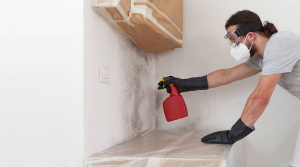 Professional Bathroom Mold Removal technician working in Maywood, IL